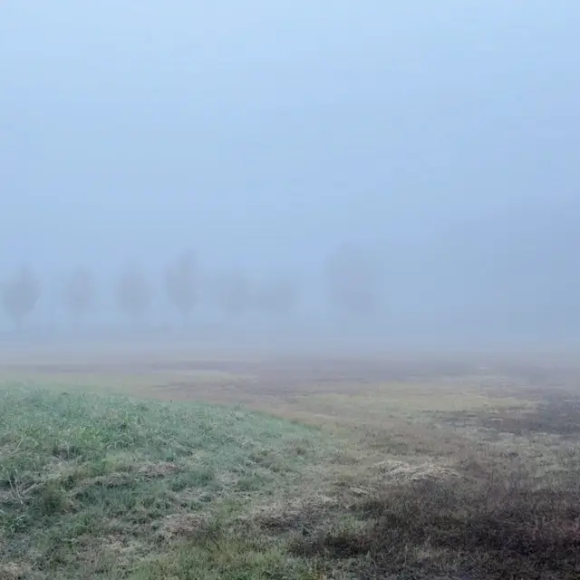 こんにちは、ムネカタテックです☁

今日、弊社のあります福島市蓬莱町は朝から濃い霧に包まれました💧

普段は広場の向こうの木もはっきりくっきり見えるのですが、今日は幻想的な雰囲気になっていますね👻🌳

朝晩の冷え込みがだんだん冬が近づいているのを感じさせます。

みなさま、体調に気を付けてお過ごしくださいね😊

#福島市 
#ムネカタテック 
#蓬莱町 
#リフォーム 
#新築住宅 
#濃霧 
#霧が濃すぎて前が見えない 
#と思っていたら 
#気が付けば秋晴れ